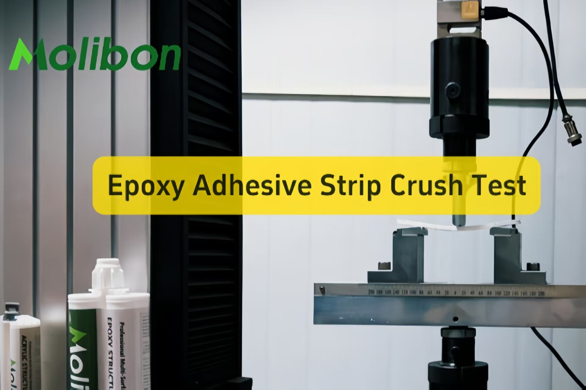 ハンマーなんて忘れろ。これが真の強さを測る方法だ。