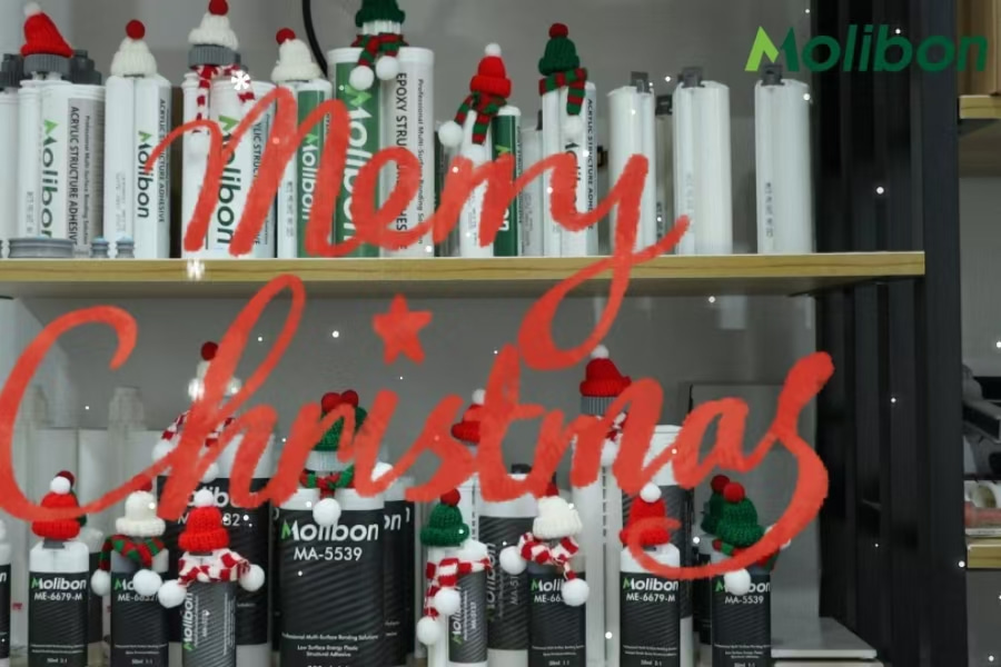 メリークリスマス、そして新年おめでとうございます